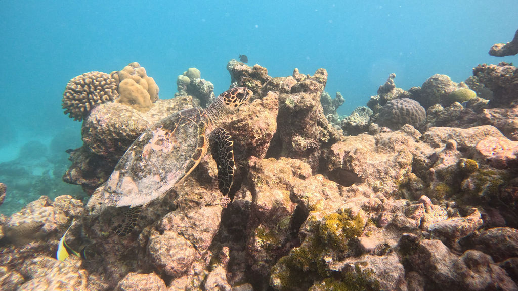 eaf780c5-44ee-4bda-9675-40ea081a7ad9