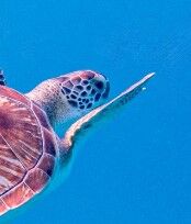 958251eb-5e89-4cb6-9c6f-18b10bdad950