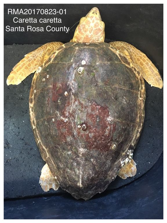 7f45fa63-4b56-4033-840a-044deb4ce047