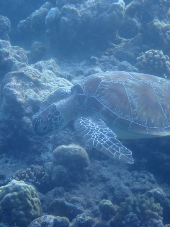 f9f601f2-85d8-46aa-bc1b-8829d998522e