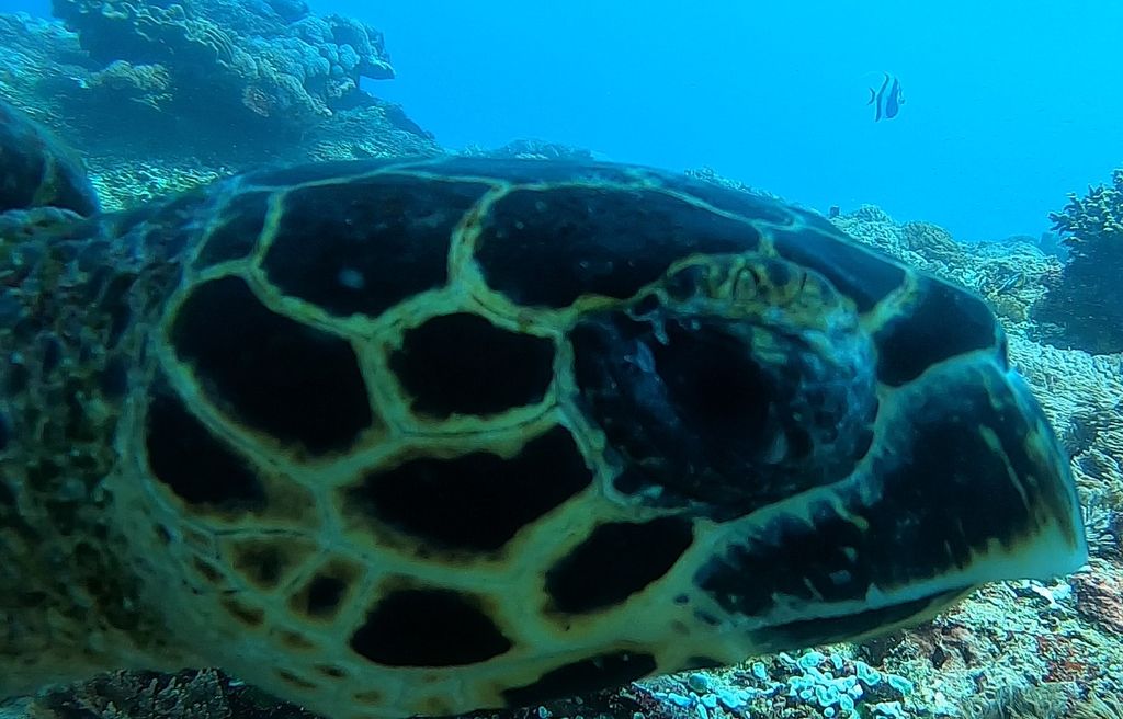 dfb1e5be-0965-49d5-bef0-6acbf725417a