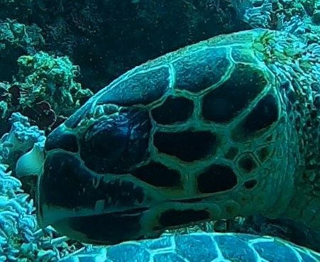 dfb1e5be-0965-49d5-bef0-6acbf725417a