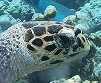 0c0cfeba-133a-48e8-b8c2-1470f8c70053