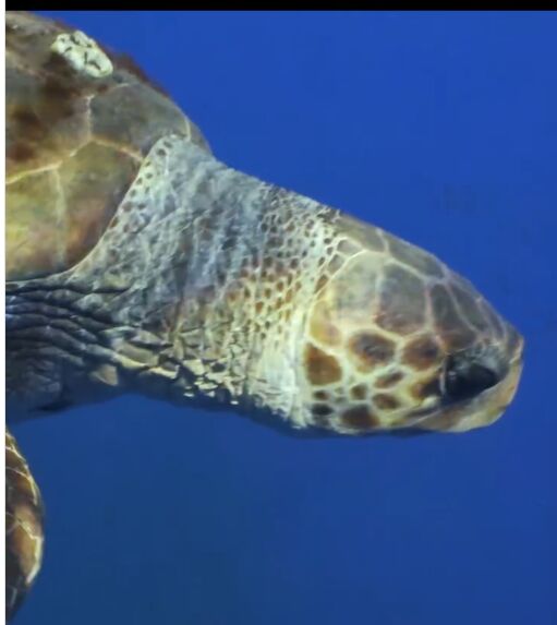 80477165-8498-48ab-a86b-b1e1880b1231