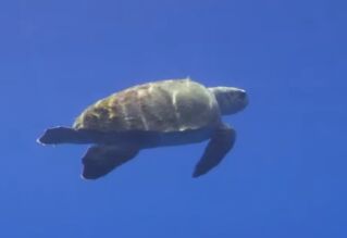 80477165-8498-48ab-a86b-b1e1880b1231