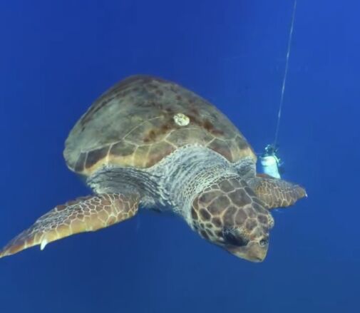 80477165-8498-48ab-a86b-b1e1880b1231