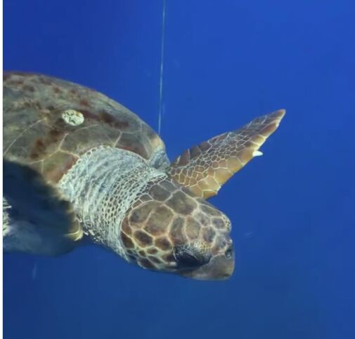 80477165-8498-48ab-a86b-b1e1880b1231