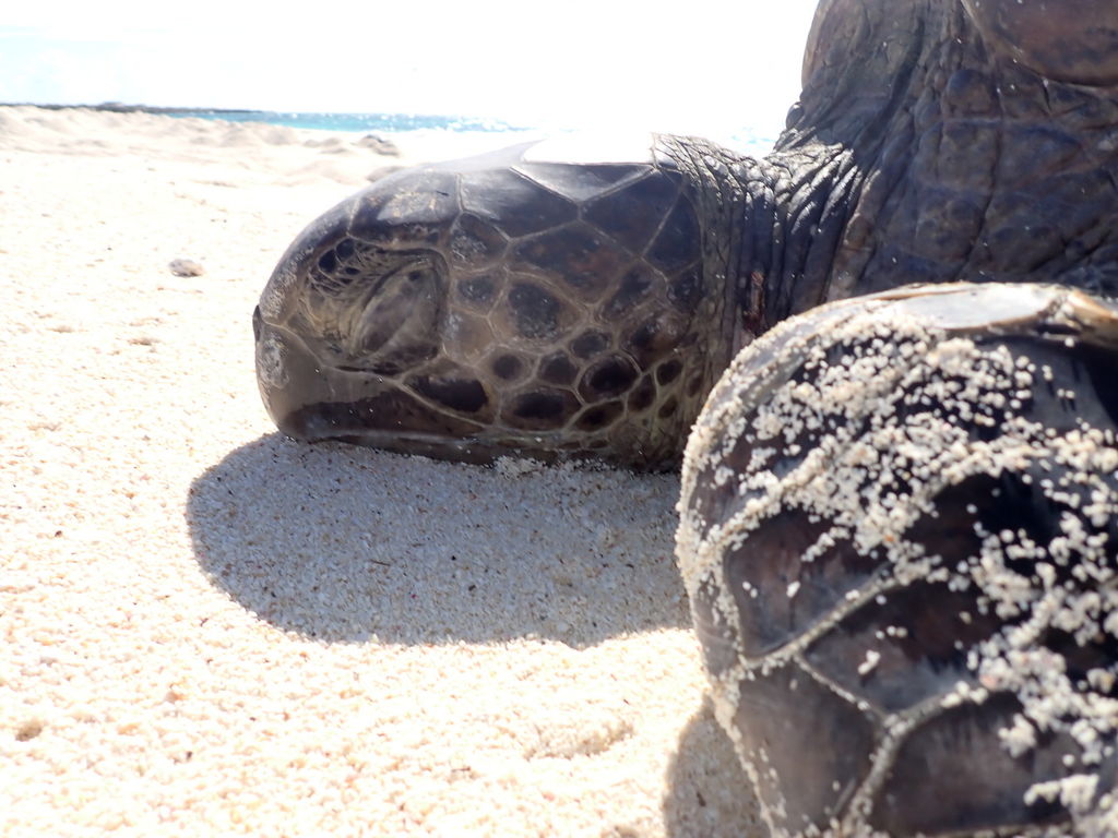 c1e47e28-1e53-484d-96a6-ebe67bd53cb8