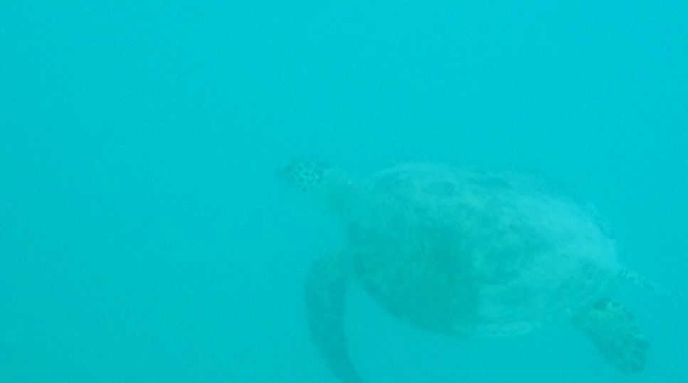 2aeb7cf7-829f-42bf-b437-0bf79b079a71