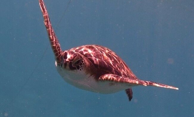 bb43052b-a1c3-4872-862f-5a562c8b9307