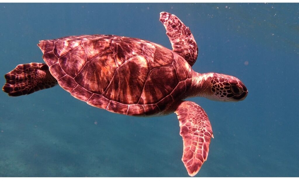 bb43052b-a1c3-4872-862f-5a562c8b9307