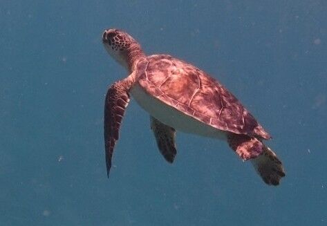 bb43052b-a1c3-4872-862f-5a562c8b9307