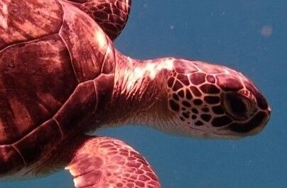 bb43052b-a1c3-4872-862f-5a562c8b9307