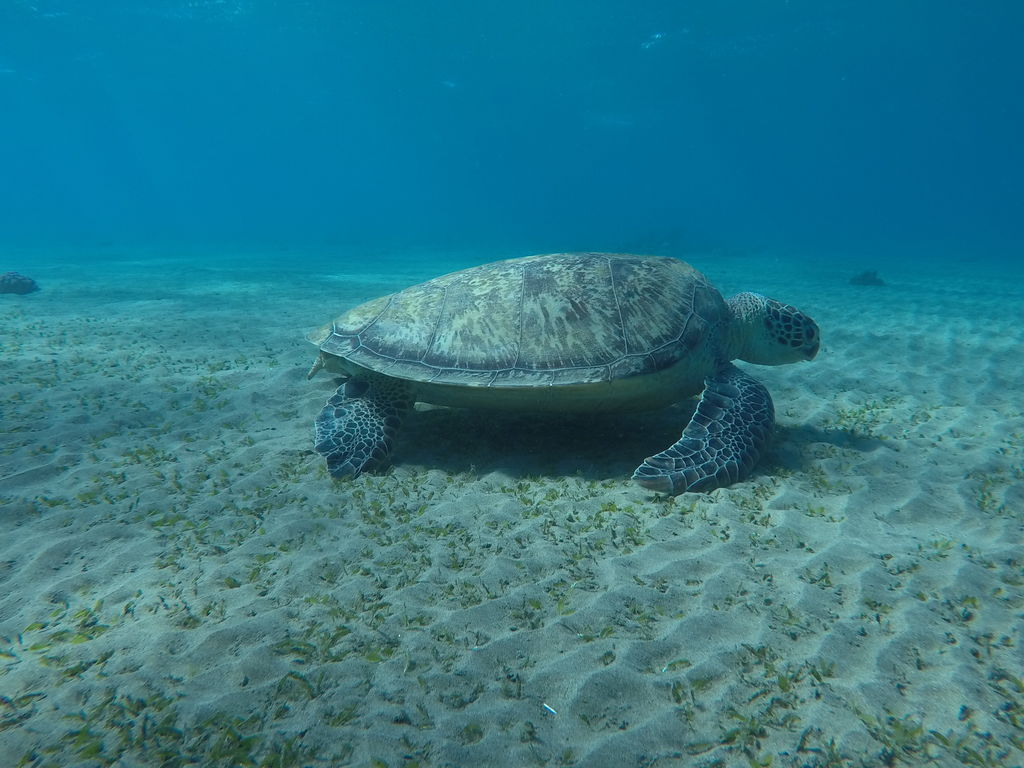 8e6a8951-1b69-4a84-b228-d98dd527cd28