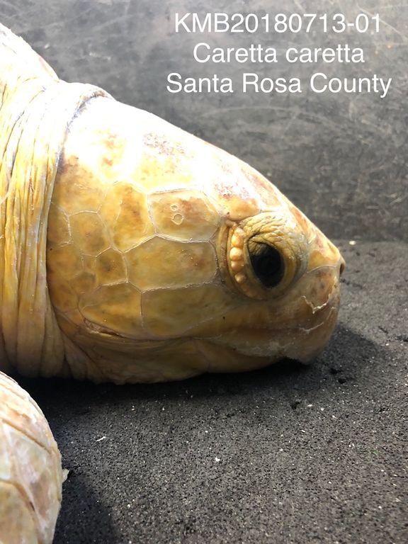 7f45fa63-4b56-4033-840a-044deb4ce047