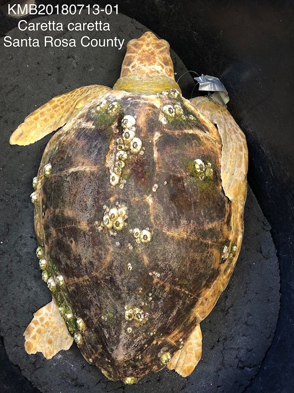 7f45fa63-4b56-4033-840a-044deb4ce047