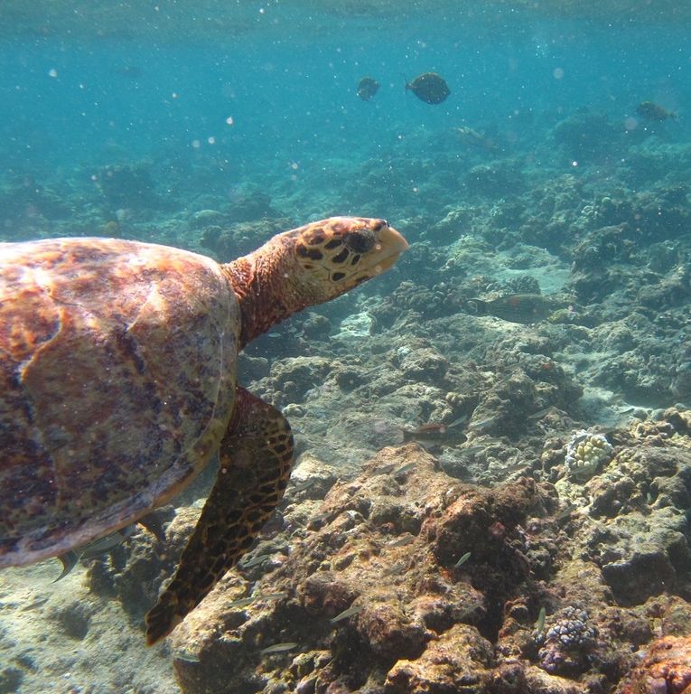 0eb87928-925d-461f-9a3d-66c697da39b5