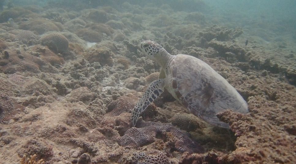 2aeb7cf7-829f-42bf-b437-0bf79b079a71