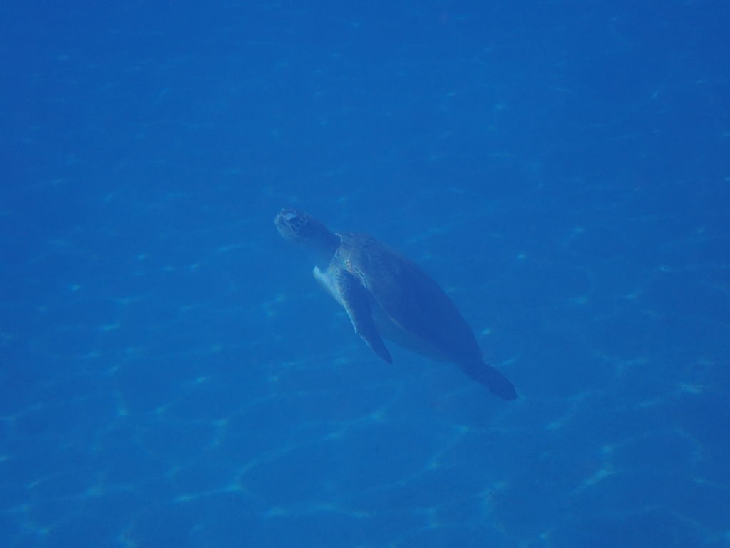 8e6a8951-1b69-4a84-b228-d98dd527cd28