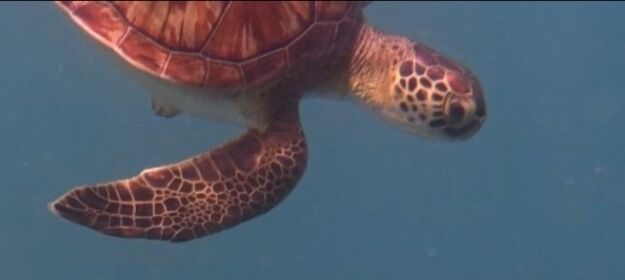 bd71ac8f-cc73-4ed4-a7cd-4ec22bb0ff48