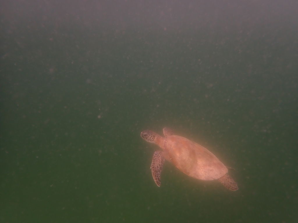 98ef5b3c-bcd2-44d9-b5e4-68567971e8fe