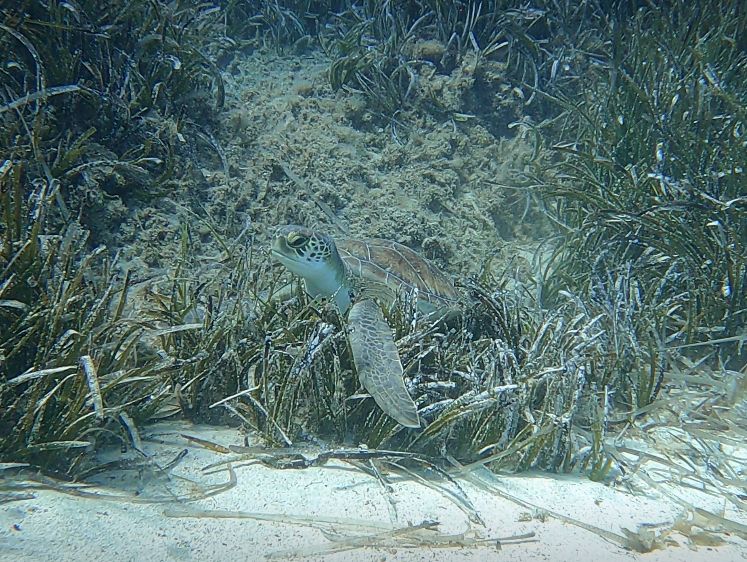 af9e3d9d-d904-484b-b427-3f12a54da736