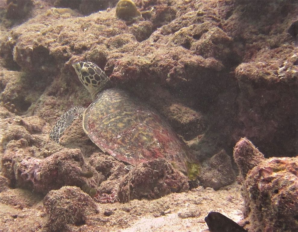 8cb8a118-78f5-4364-842f-d6dbae73bfbf