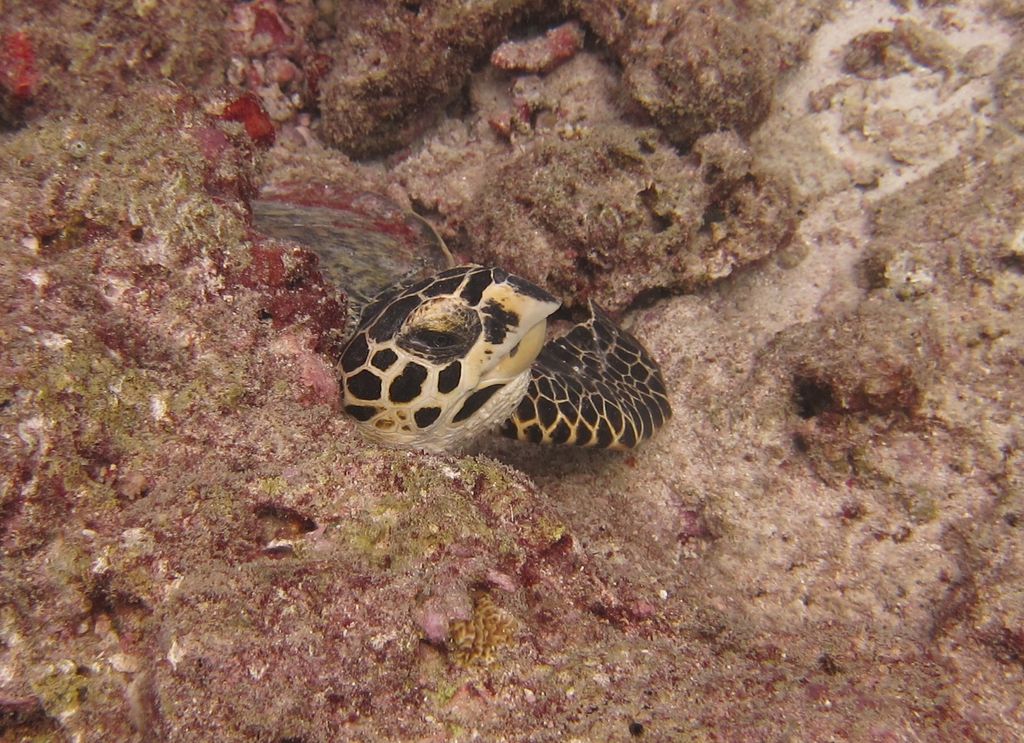 8cb8a118-78f5-4364-842f-d6dbae73bfbf