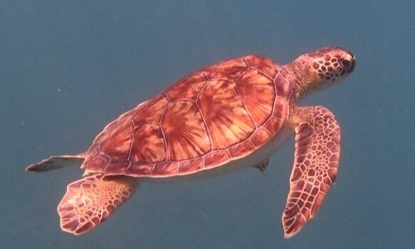 bd71ac8f-cc73-4ed4-a7cd-4ec22bb0ff48