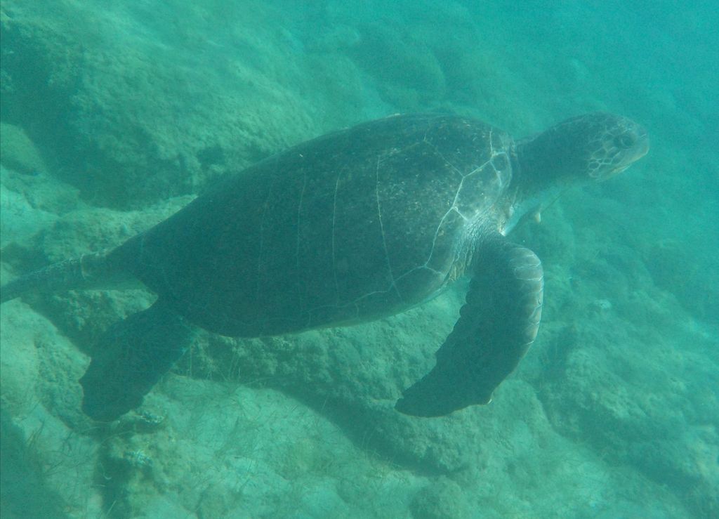 d54071a8-4558-4281-95c4-29d214a0411d