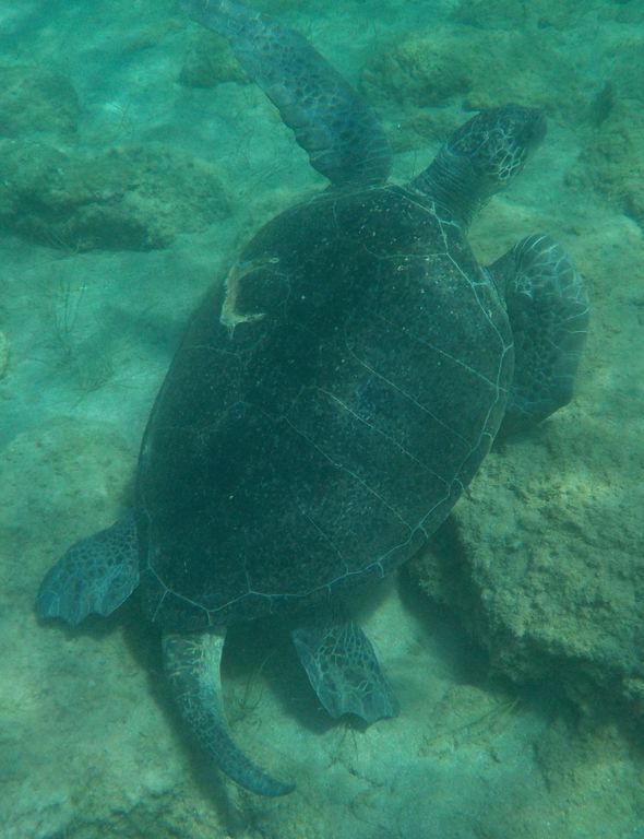 d54071a8-4558-4281-95c4-29d214a0411d