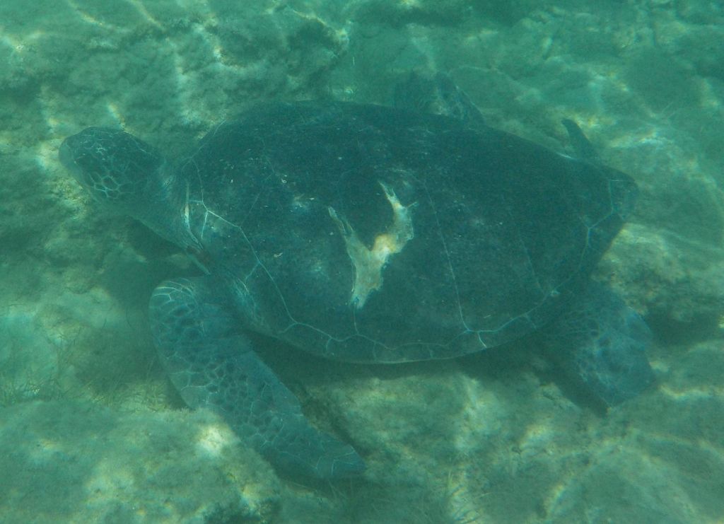 d54071a8-4558-4281-95c4-29d214a0411d