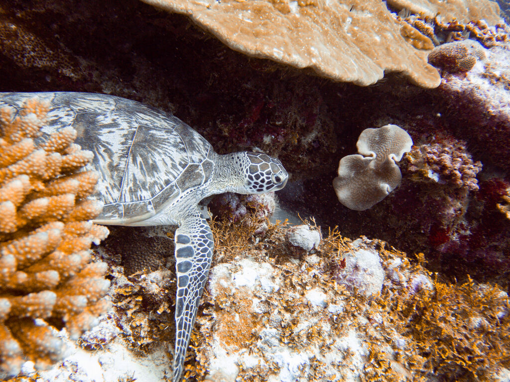 72fa4c24-2108-4096-abb7-f6cfdc5af851