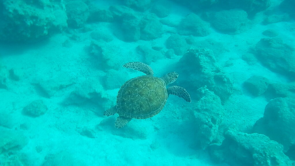 3f548098-e0a2-4202-8d5d-59ef4c4d2839