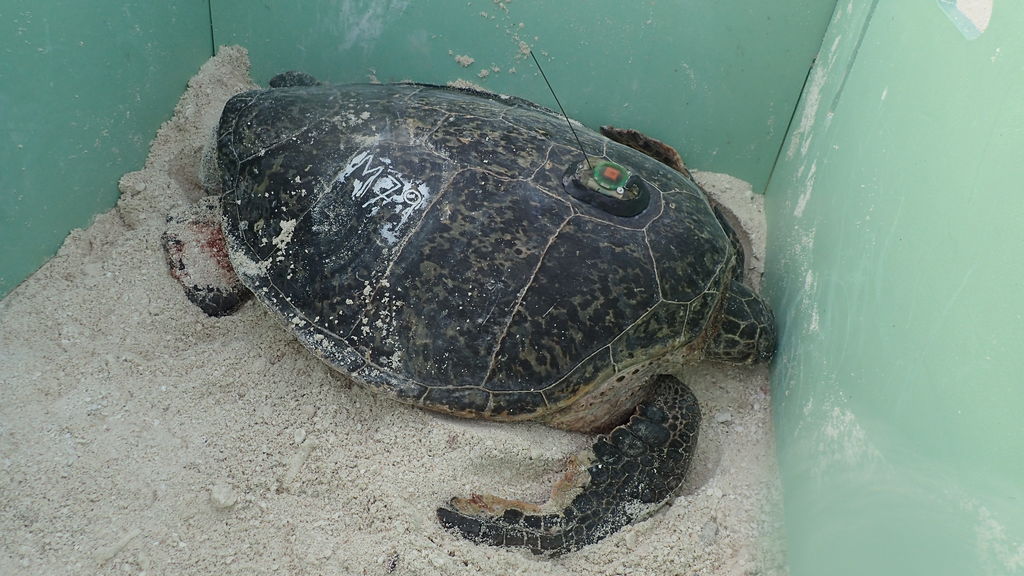 a431d8d9-f628-407e-bcc9-e2305dc208bd