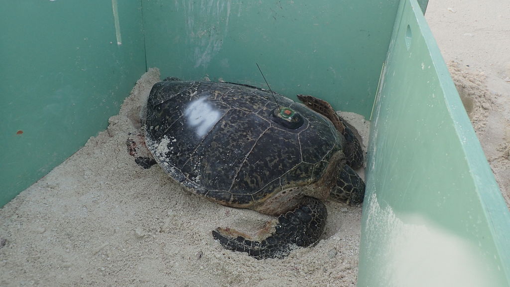 a431d8d9-f628-407e-bcc9-e2305dc208bd