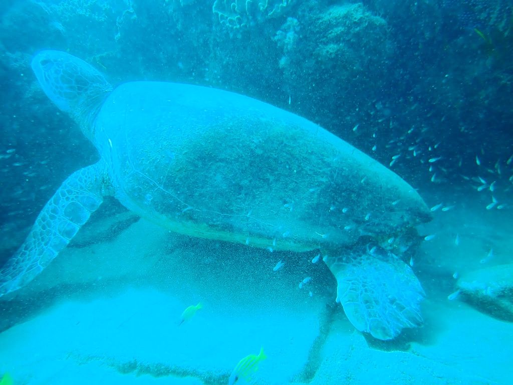 79135a1e-79ef-4a0e-adb2-9b32257f9725