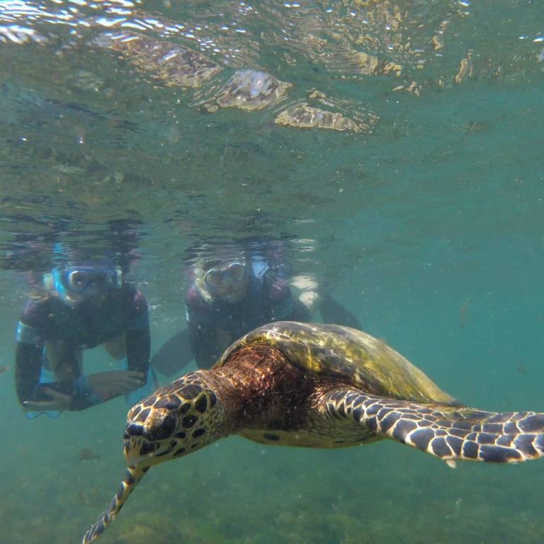 0d65a51a-dad1-4fc8-b8b5-76f36669a6e9