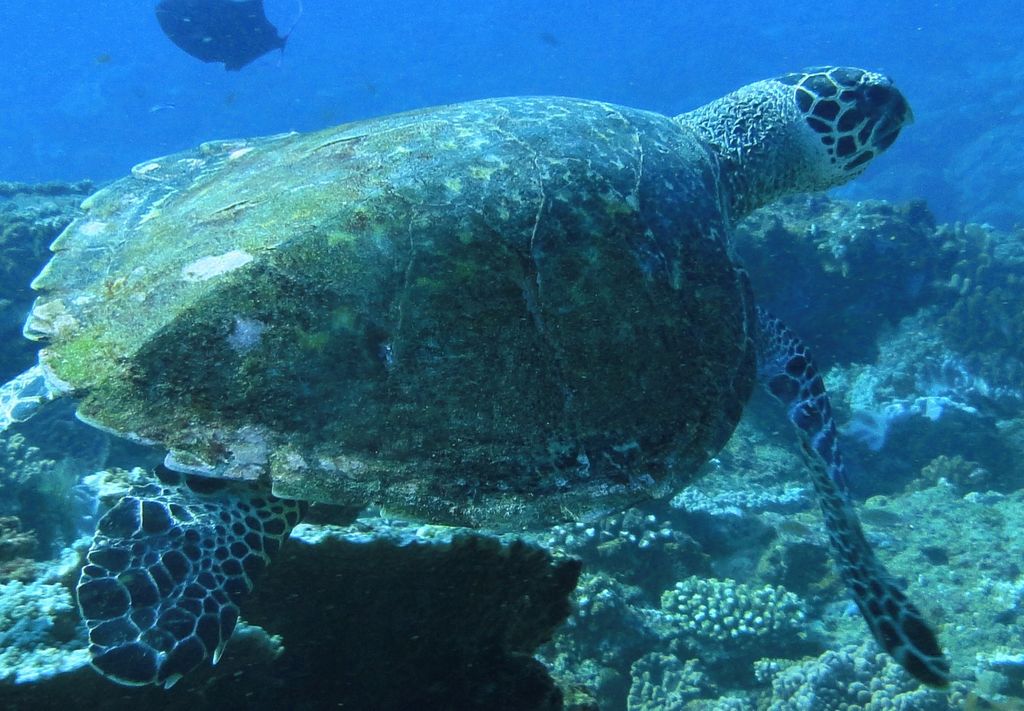 56880d51-d1c4-4649-afa9-25dd60cad866