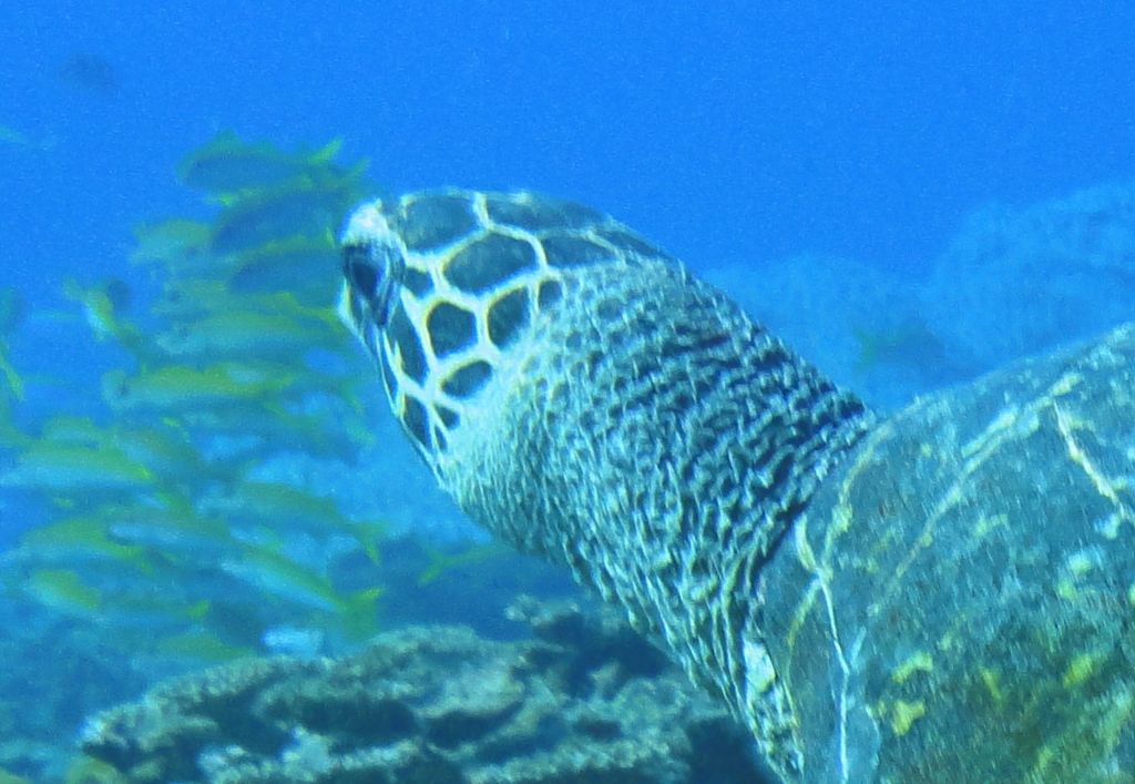 56880d51-d1c4-4649-afa9-25dd60cad866