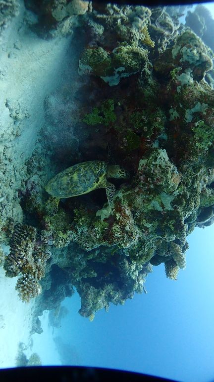 4ff065c4-f931-44f0-a56a-5ecccaa26fad