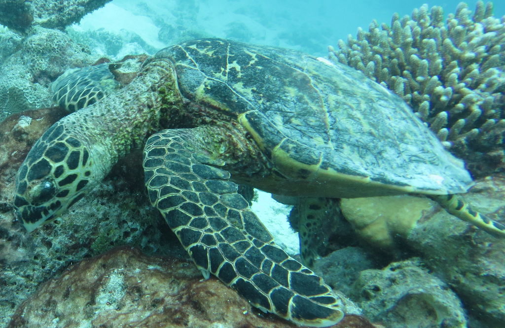 ae7454e0-4949-4efc-b2cb-38127360450f