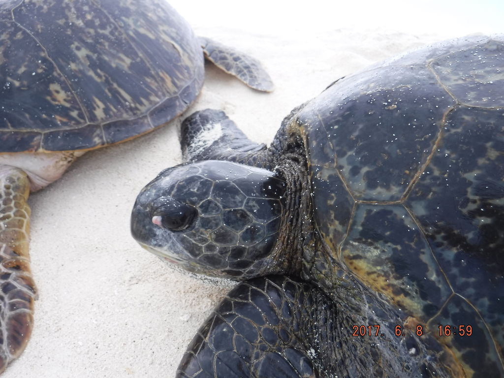 39001a5d-f0bd-4ba5-b08c-98552a4572bb