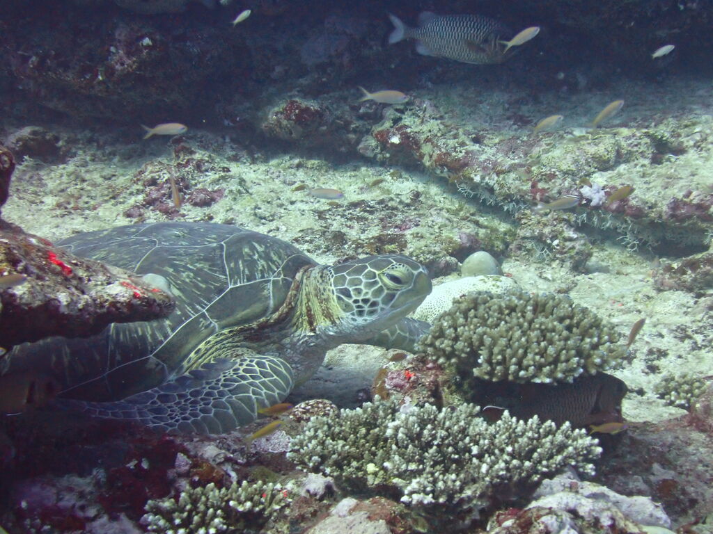 e4465be5-4460-48b9-97f6-d887397a9e88