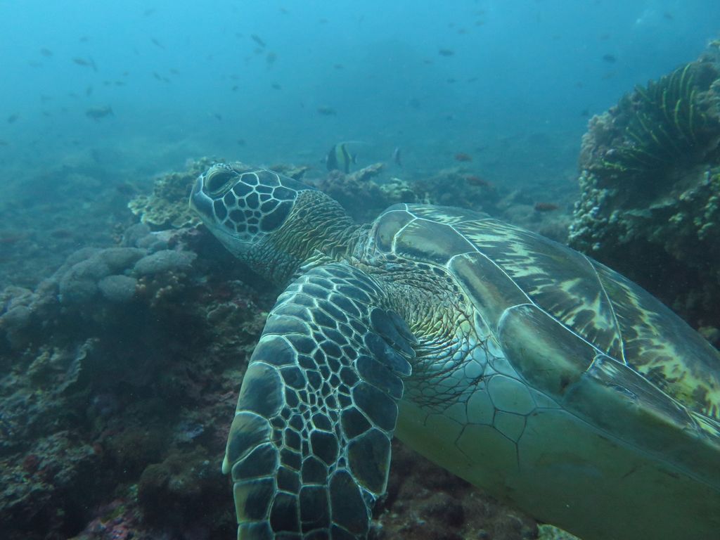 0e22ec1a-7013-4ced-a080-ac06a944f038