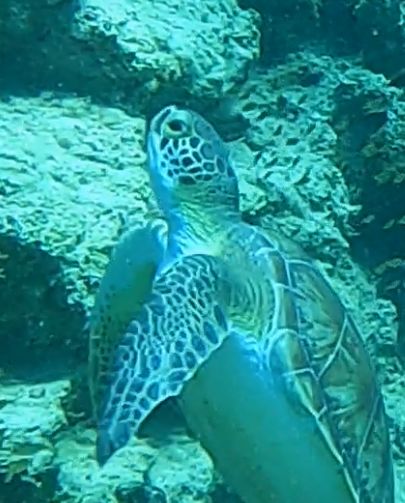 36191349-057f-4176-9e28-c085d5dd99a4