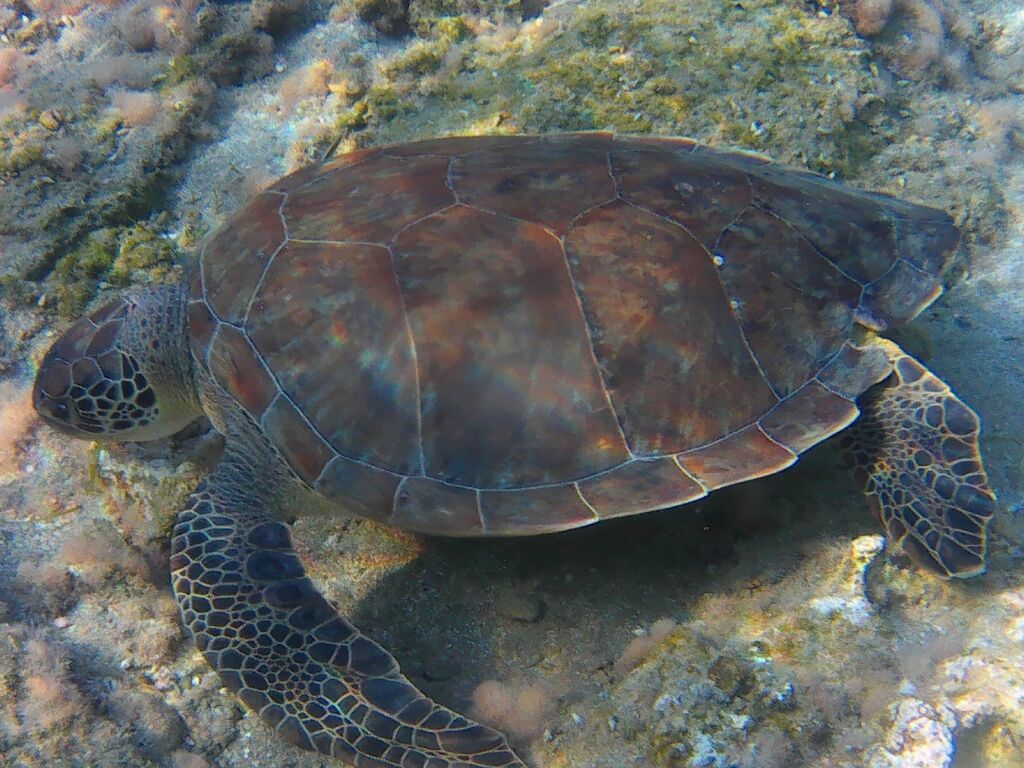 69073c28-f4db-4dc2-9dd0-872aa82c4269