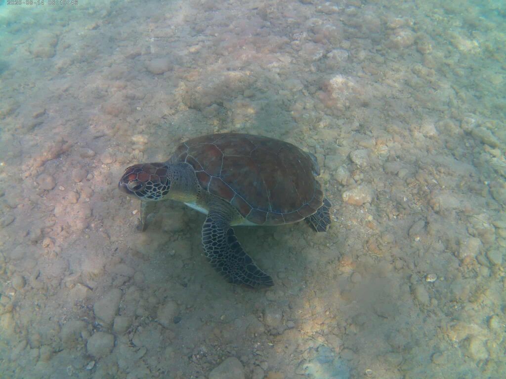 69073c28-f4db-4dc2-9dd0-872aa82c4269