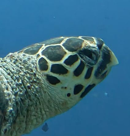 b20b5702-21c7-4d94-b5a5-f57545cd64cc