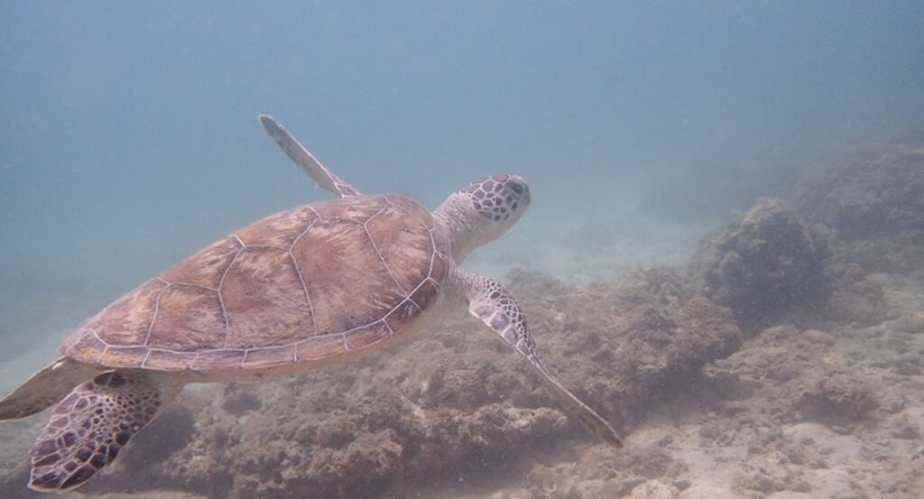 ea660ee7-f223-4719-97ab-30e808e582ab